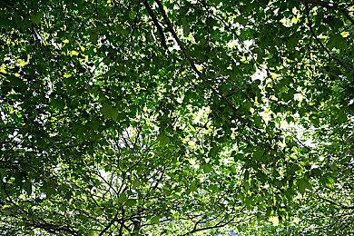 星渊神金局！抢神器夺神金，瓜分18888元！